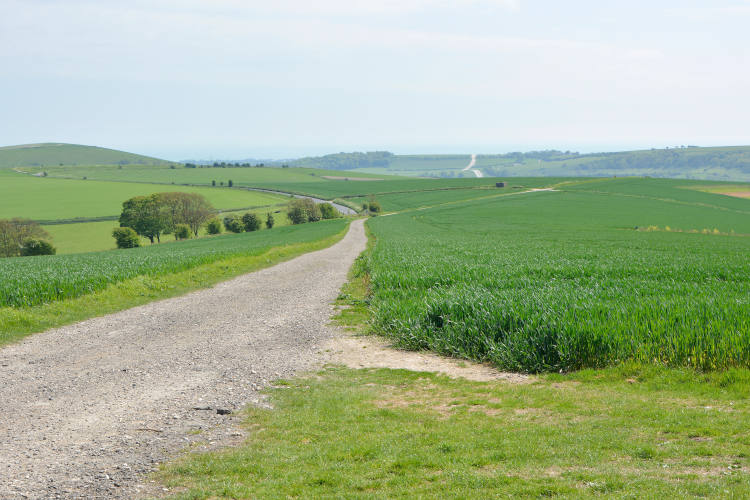 Track across The South Downs above Steyning near Worthing, West Sussex, England
